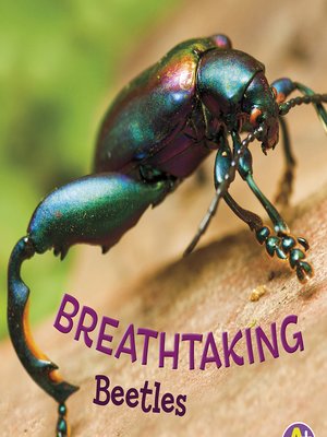 cover image of Breathtaking Beetles